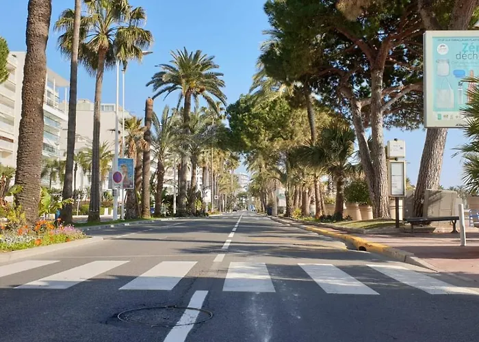 Appartement Croisette Cannes